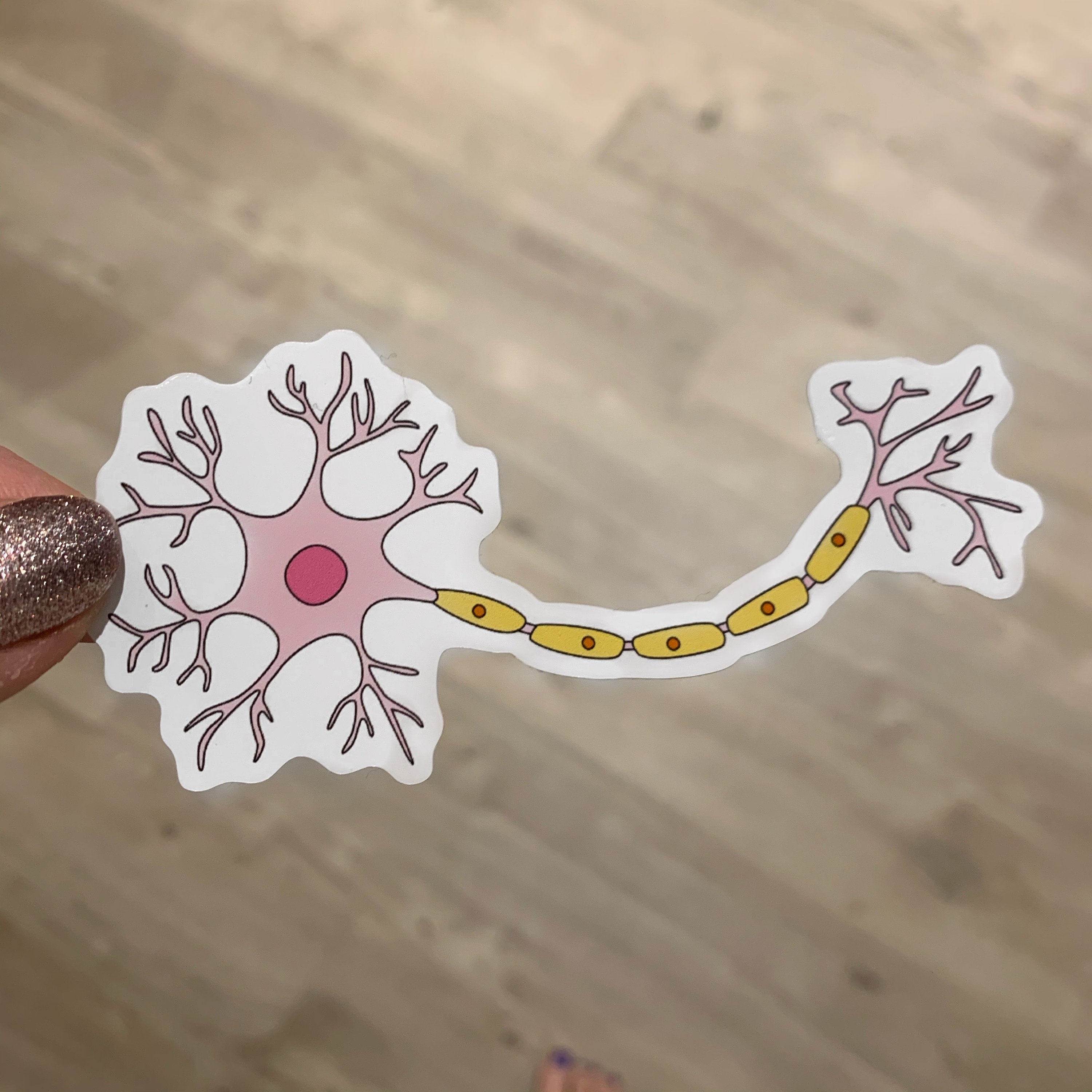Neuron sticker held by a hand on a wooden surface