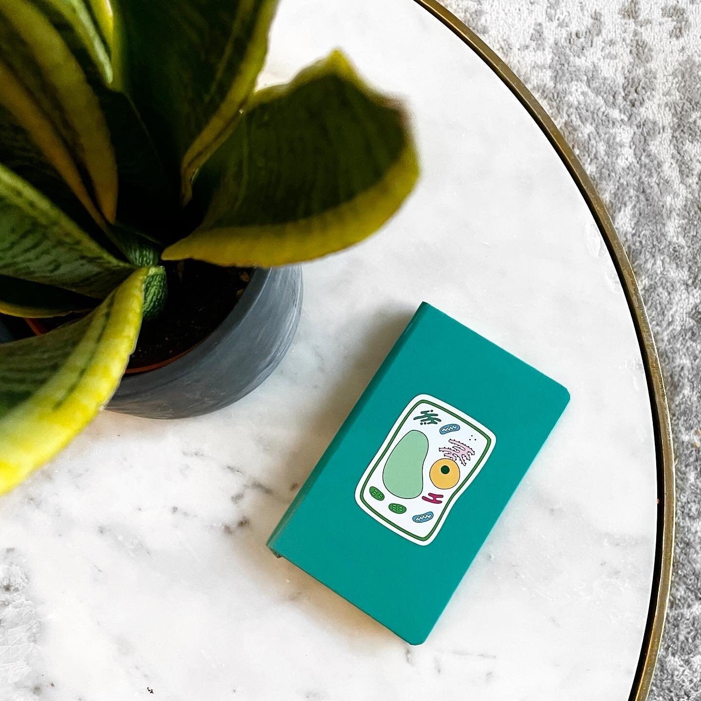 Teal notebook with a plant cell stick stuck on it sat on a marble surface