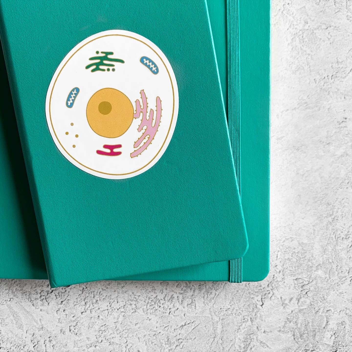 Eukaryotic cell colourful vinyl sticker on a teal notebook