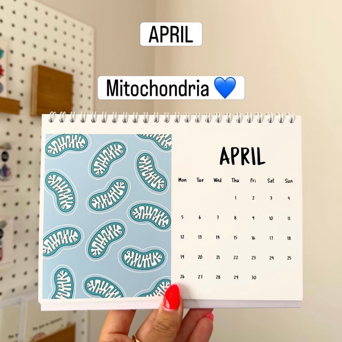 A spiral-bound April desk calendar held by a hand with red nail polish. The left page has a light blue background with repeating mitochondria illustrations, and the right page shows the April calendar grid.
