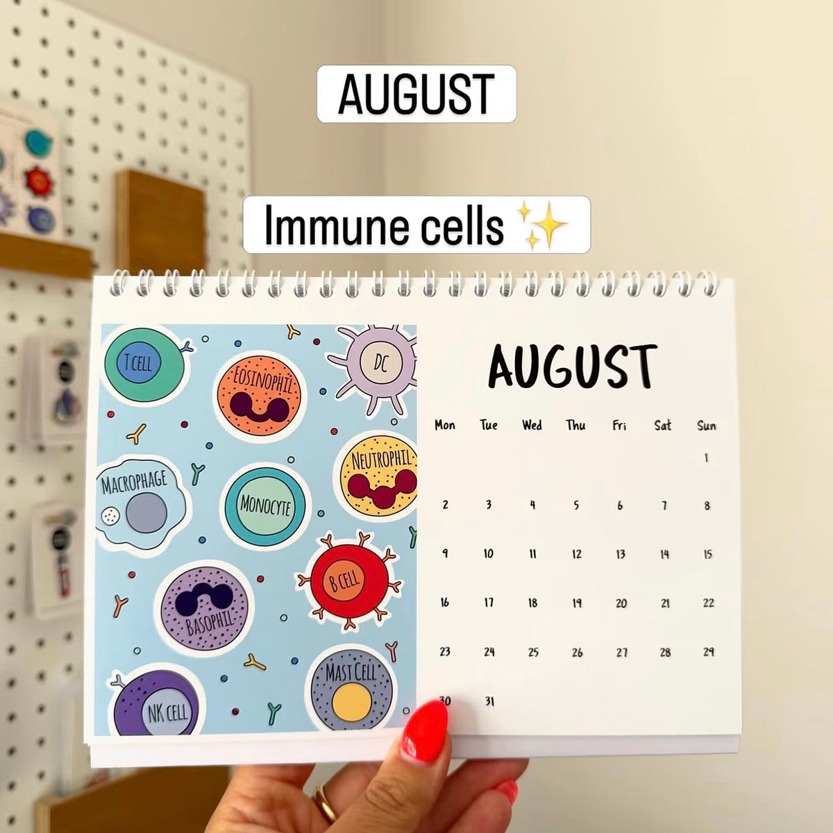 A hand with red nail polish holds a spiral-bound desk calendar showing immunce cells for August. The left page features labelled illustrations of immune cells and the right page shows the August calendar grid.