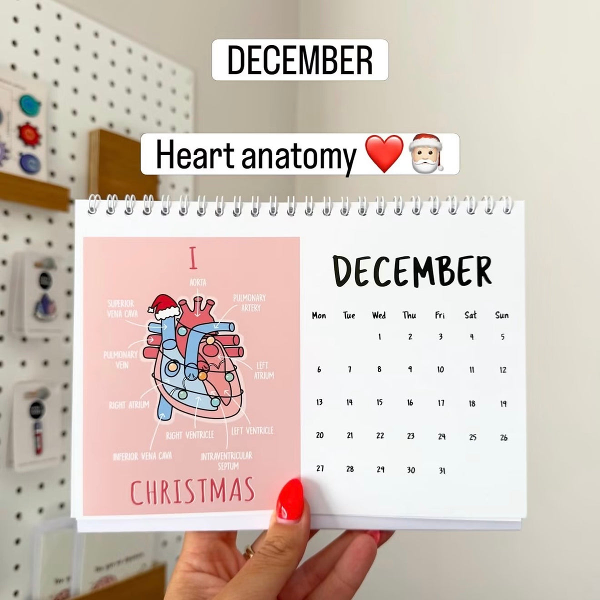 A hand with red nail polish holds a spiral-bound desk calendar showing a Christmas-themed heart anatomy page for December. The page features a pink background with a labeled anatomical heart illustration and a December calendar grid on the right.
