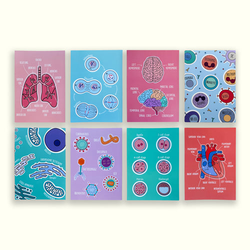 Set of eight biology themed A6 prints