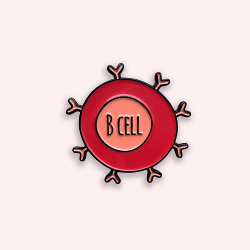 Illustration of a B cell on a pink background