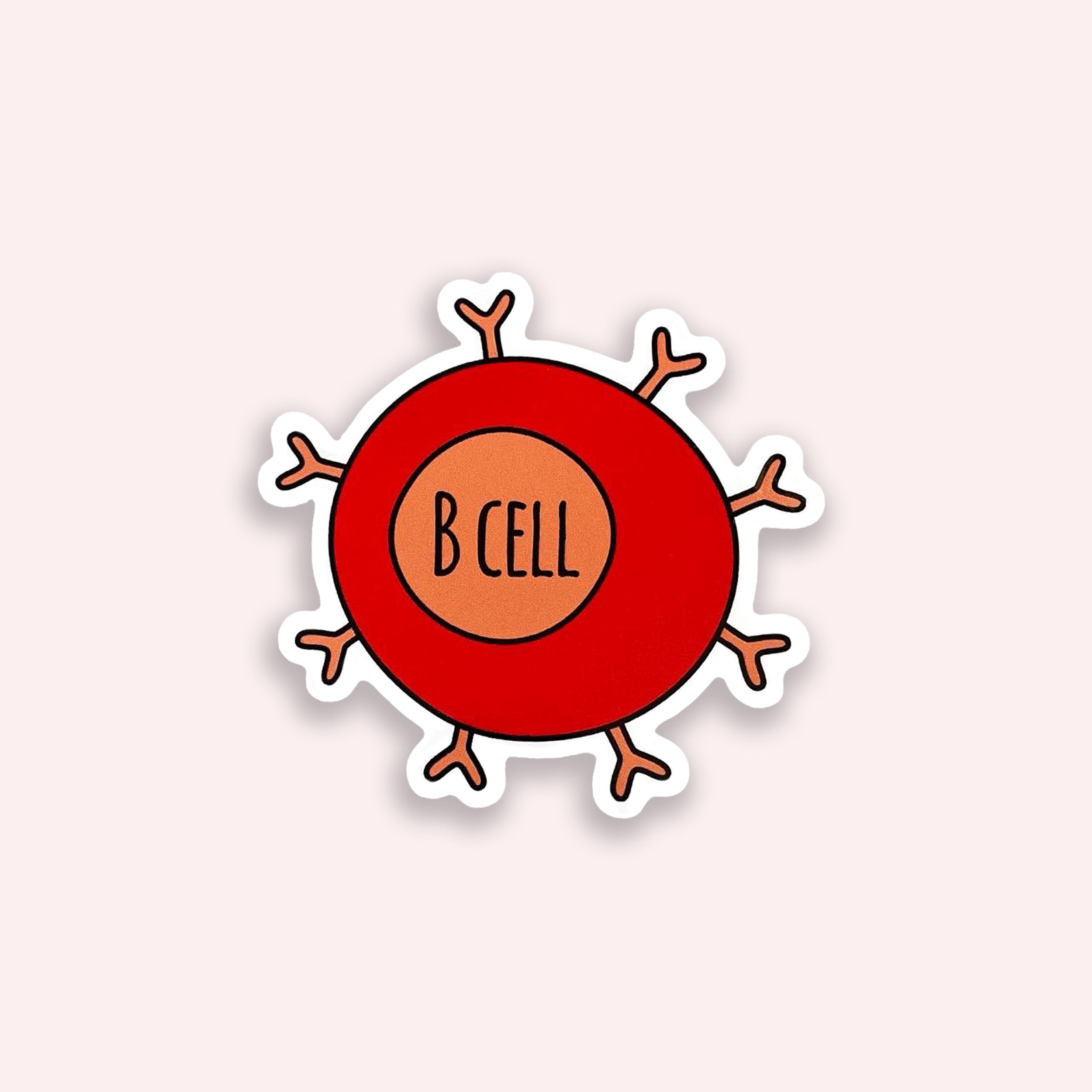 B cell colourful vinyl sticker on a pink background