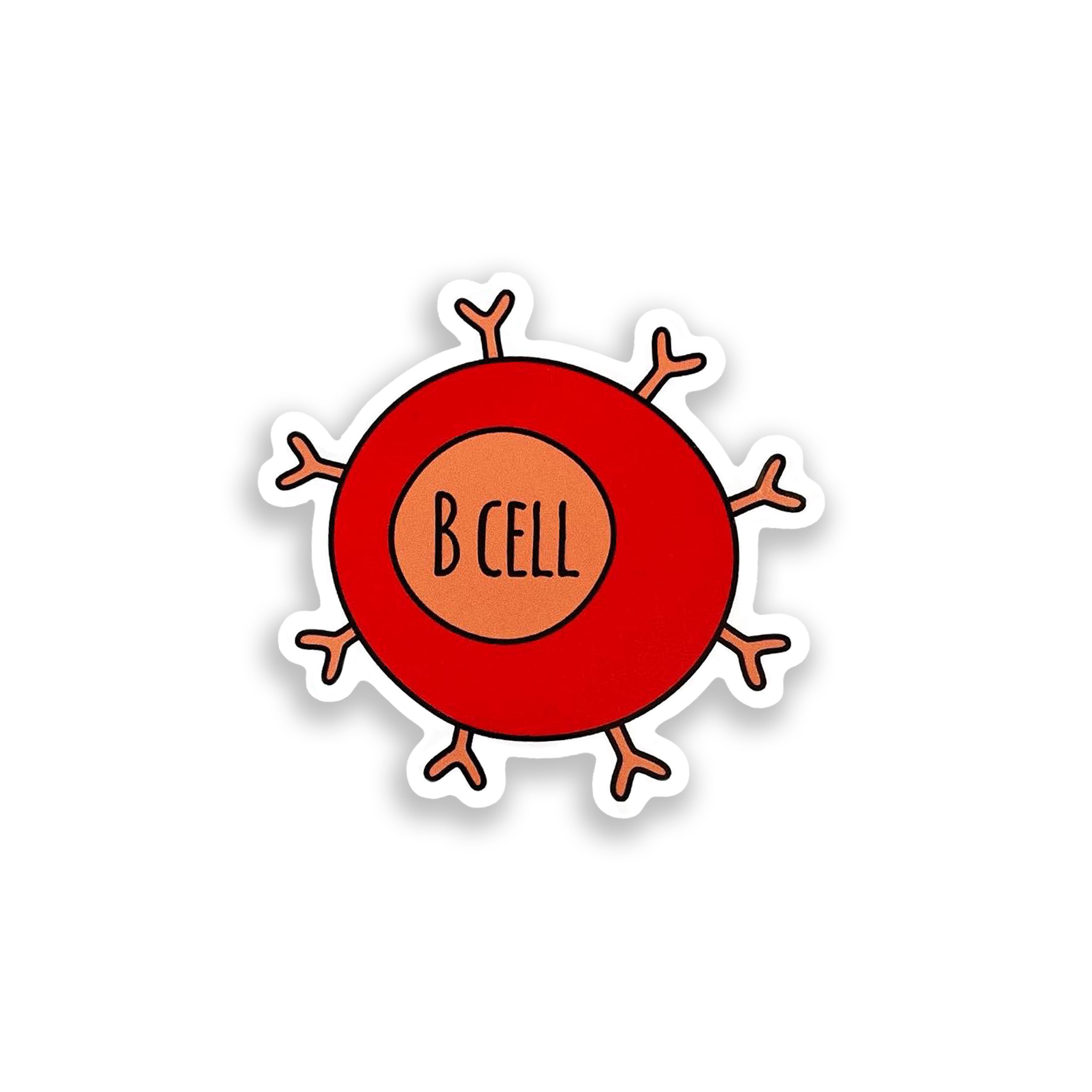 B cell colourful vinyl sticker on white background