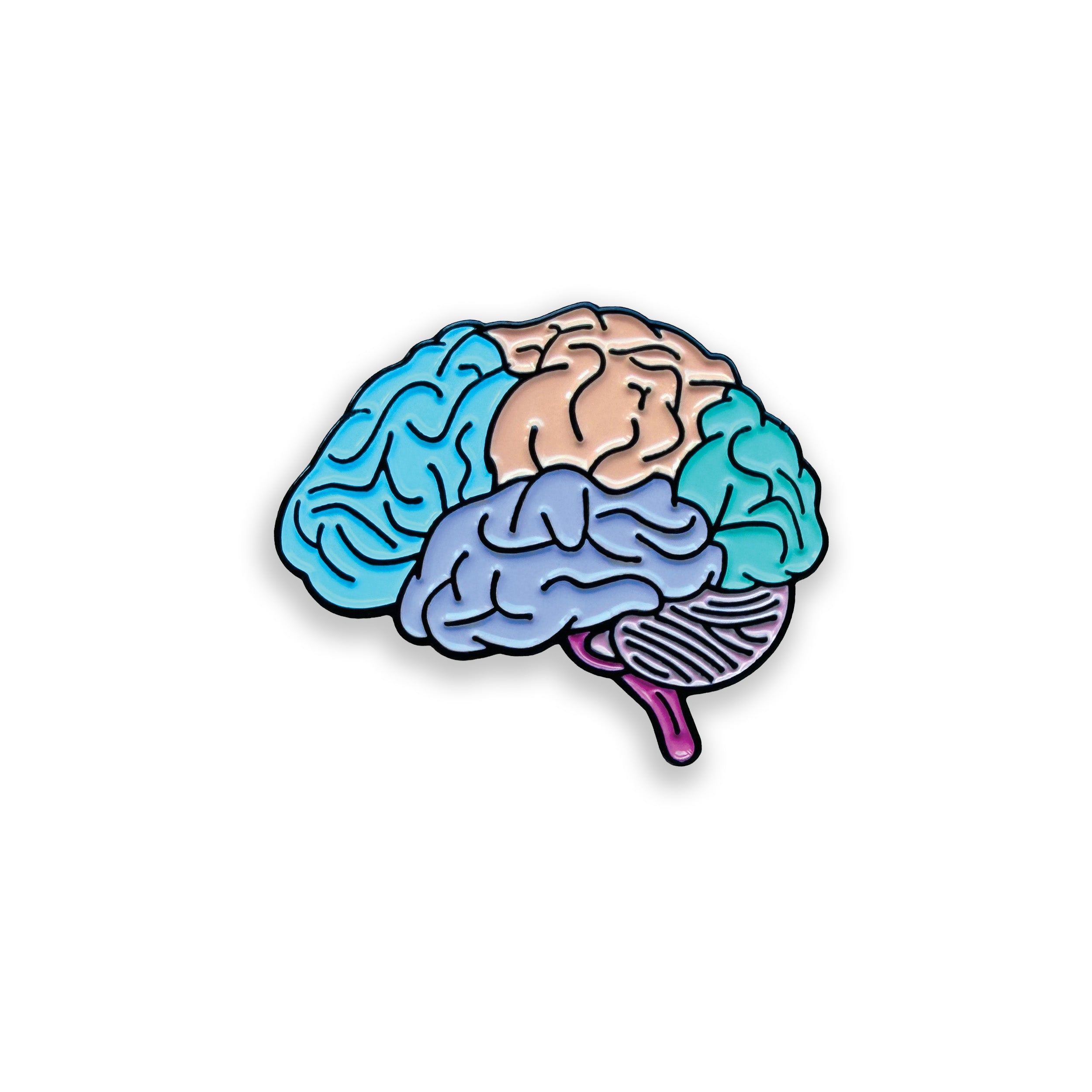 Colorful brain illustration on a white background