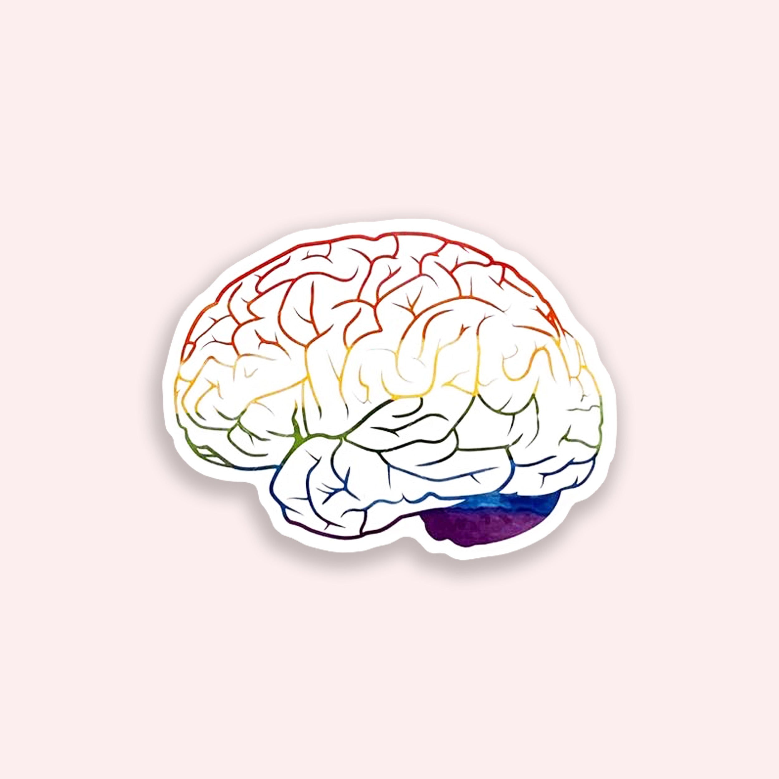 Colorful brain illustration on a light gray background