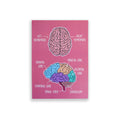 Brain Anatomy A6 print with colourful illustrated brain structures on pink background