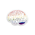Colorful brain illustration on a white background