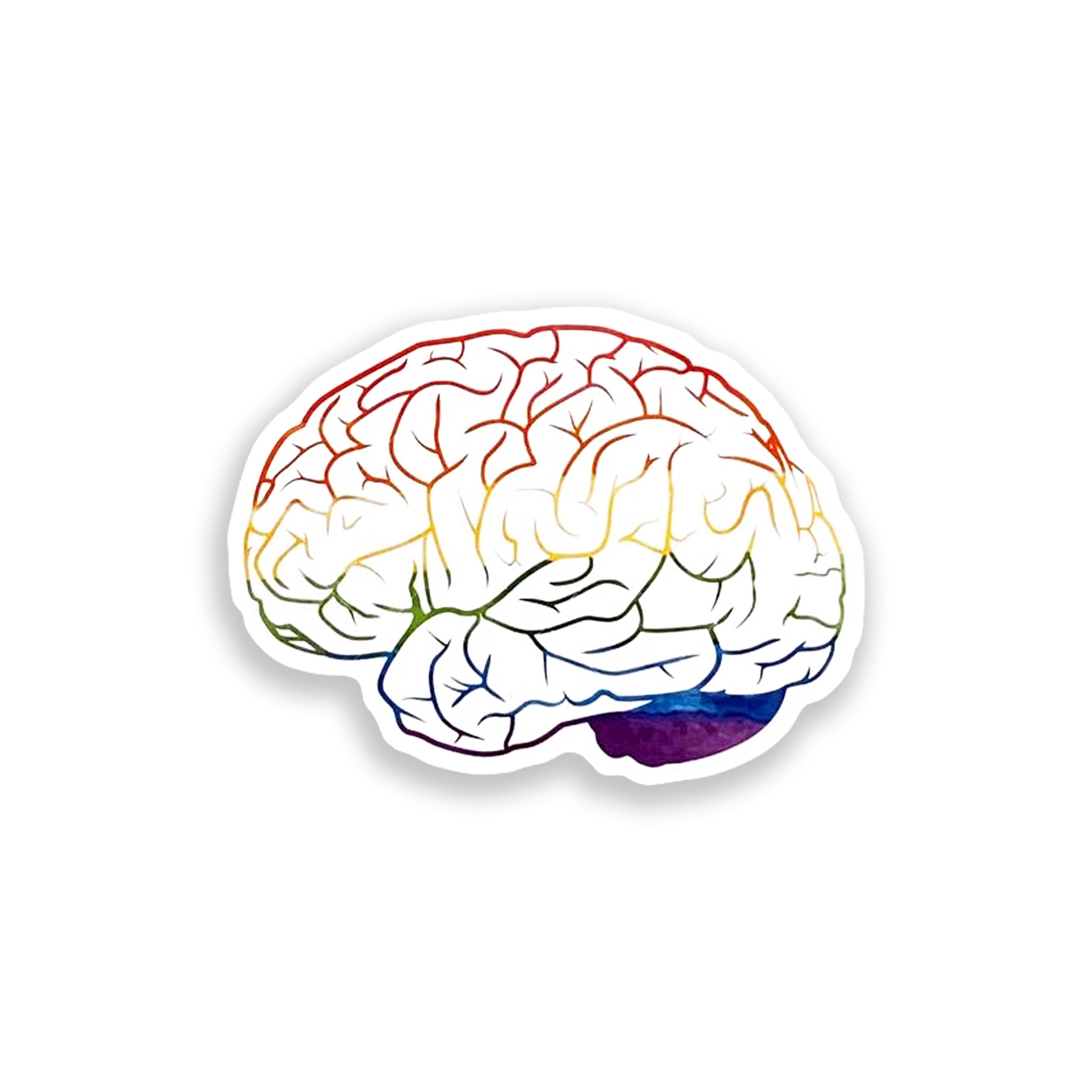 Colorful brain illustration on a white background