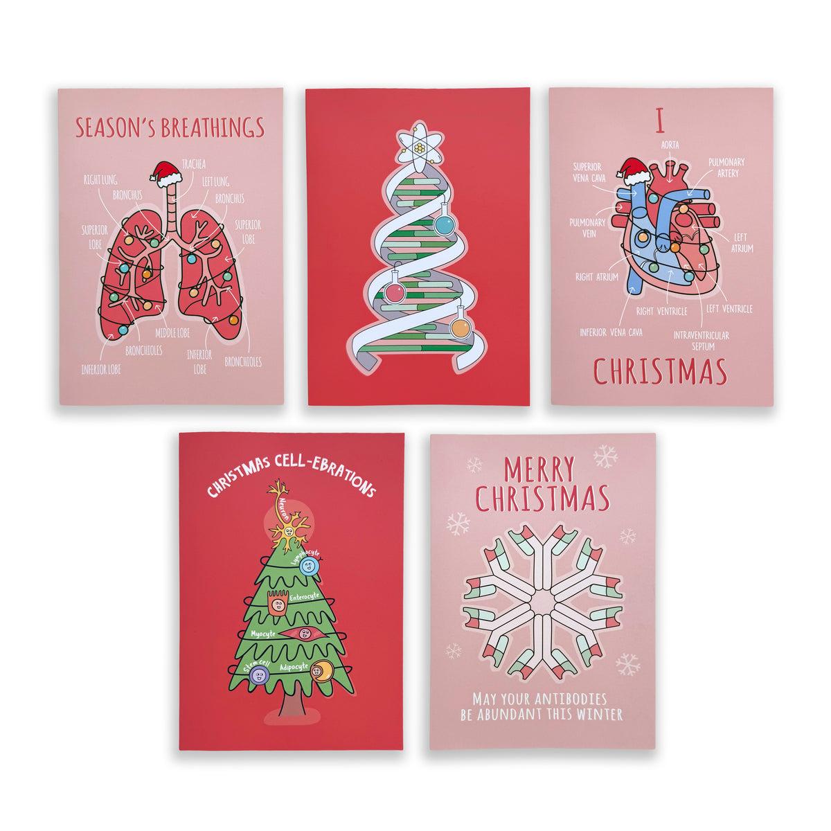 Five Christmas-themed educational cards arranged in two rows on a white background. The cards feature humorous medical illustrations such as 'Season's Breathings' on pink, a striped Christmas tree on red, an anatomical heart labeled 'I HATE Christmas' on pink, a green Christmas tree labeled 'Christmas Cell-Embryons' on red, and a white snowflake labeled 'Merry Christmas' on pink.