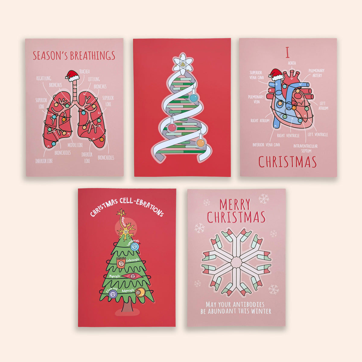 Five Christmas-themed illustrated cards arranged in a 2x3 grid on a light beige background. The cards feature medical-style diagrams: lungs with a Santa hat and the text 'Season's Breathings,' a spiral Christmas tree, an anatomical heart with 'I Love Christmas,' a decorated tree with 'Christmas Cell-Embryons,' and a snowflake with 'Merry Christmas' and 'May your antibodies be abundant this winter.