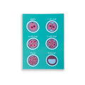 Embryology A6 print with colourful illustrated embryo stages on white background