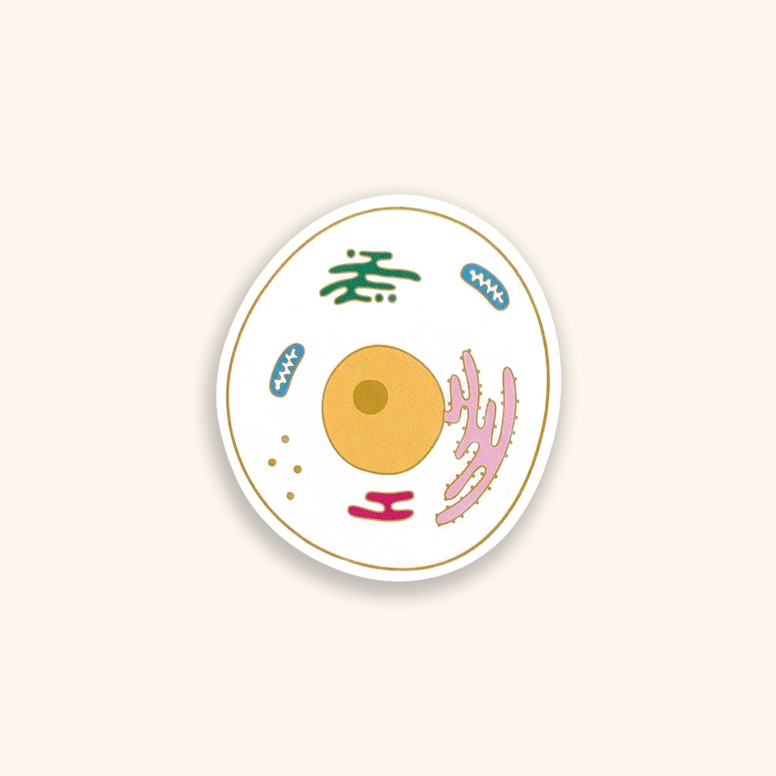 Eukaryotic cell colourful vinyl sticker on orange background