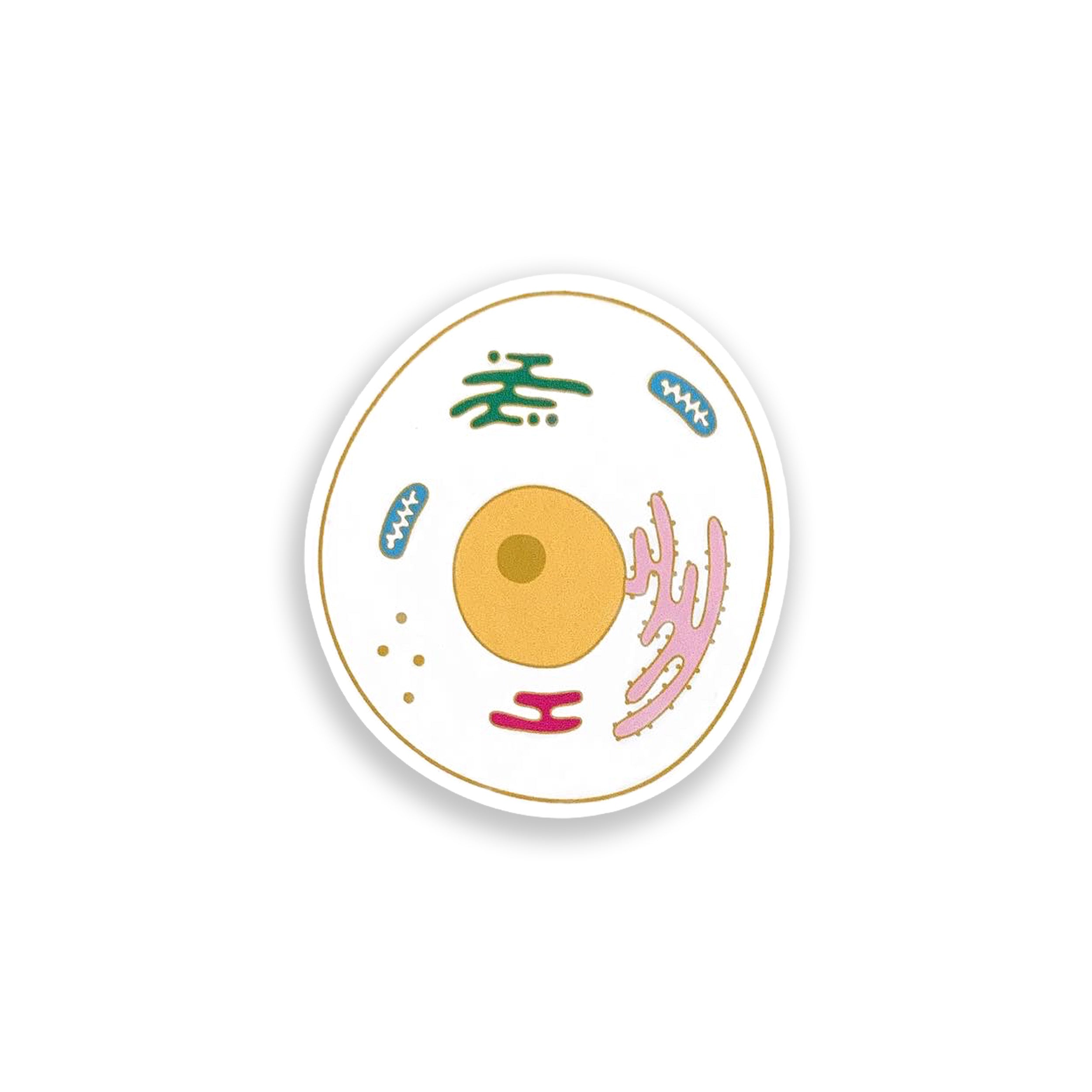 Eukaryotic cell colourful vinyl sticker on white background