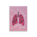 Lung Anatomy A6 print with colourful illustrated respiratory structures on white background