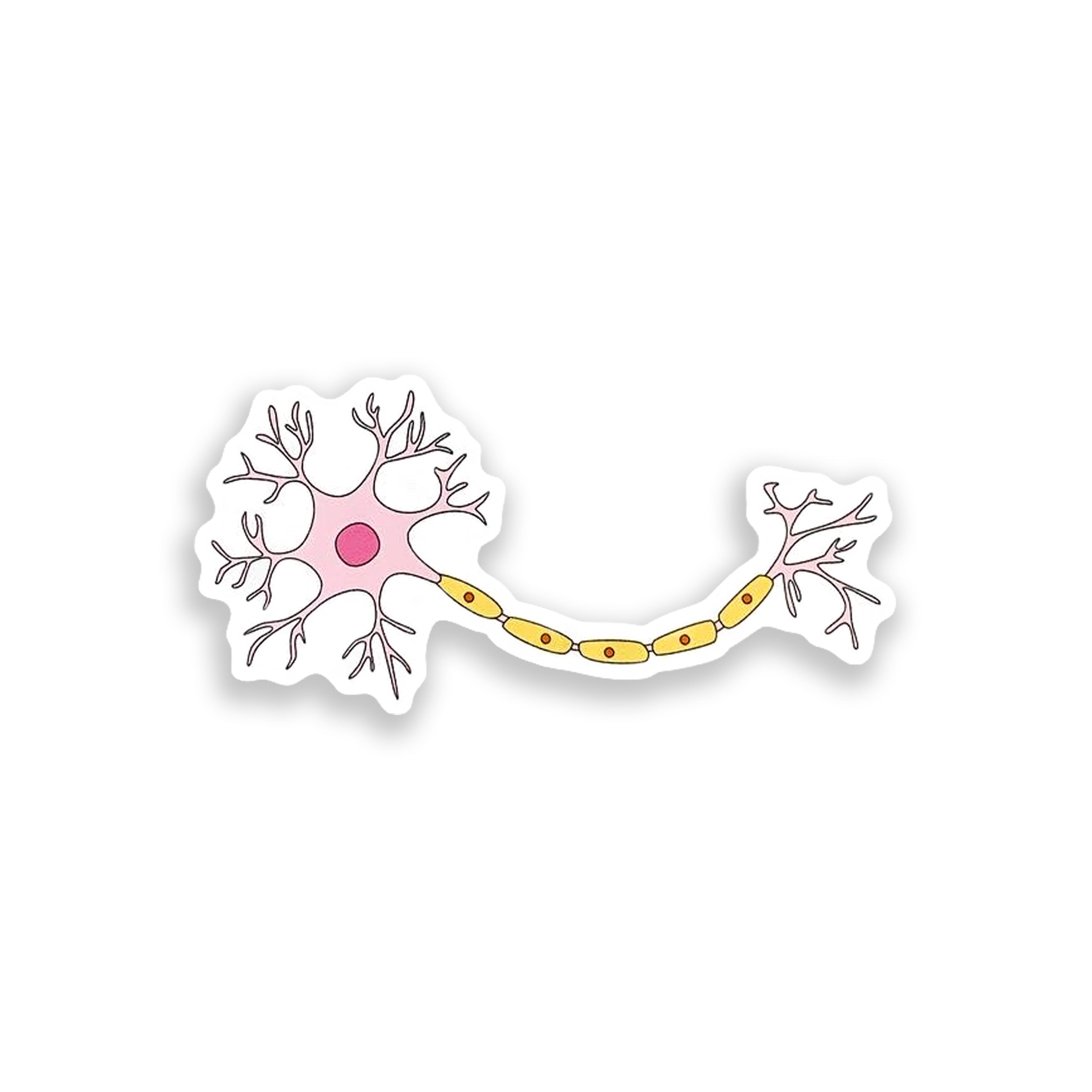 Illustration of a neuron on a white background