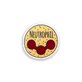 Neutrophil cell vinyl sticker on white background