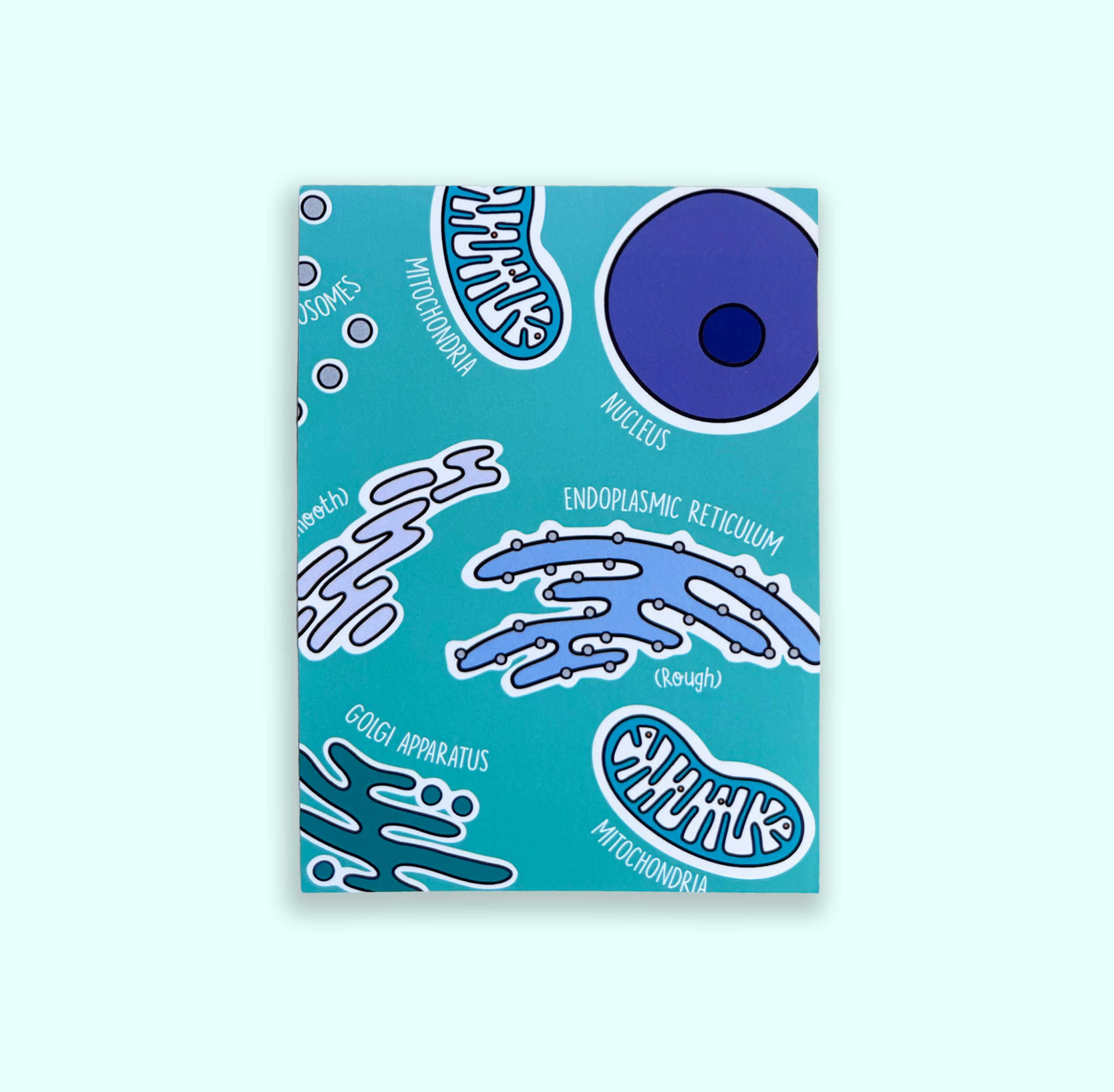 Cell Organelles A6 print with colourful illustrated organelles on white background