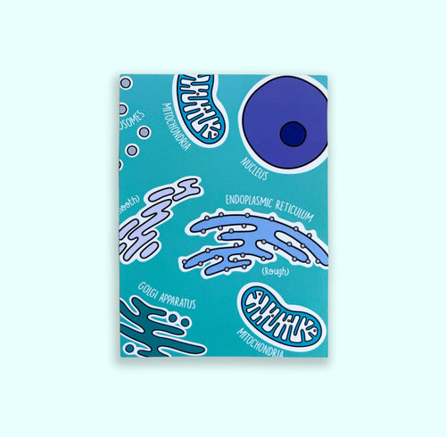 Cell Organelles A6 print with colourful illustrated organelles on white background