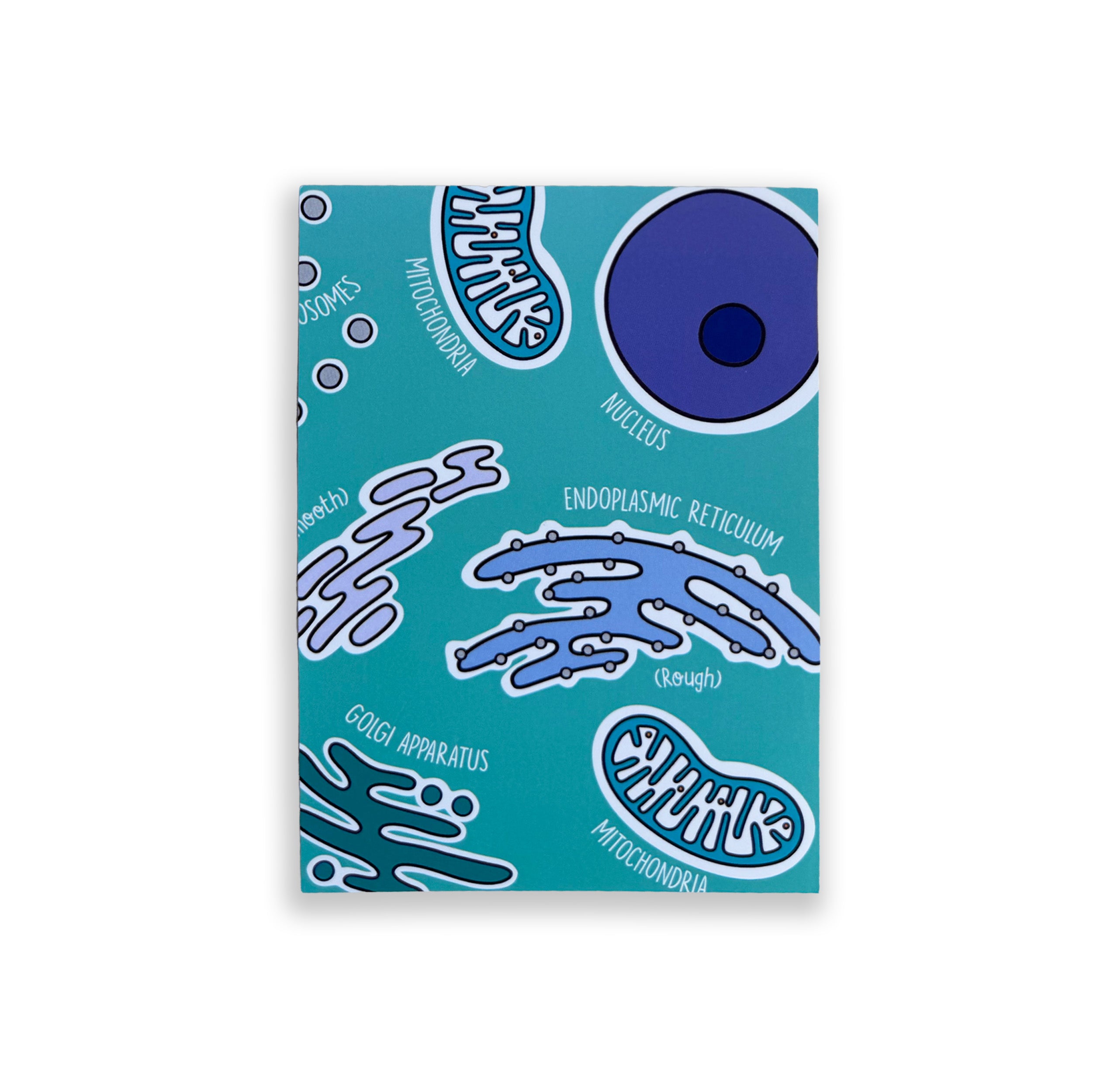 Cell Organelles A6 print with colourful illustrated organelles on white background