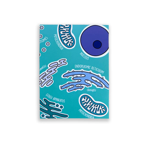 Cell Organelles A6 print with colourful illustrated organelles on white background
