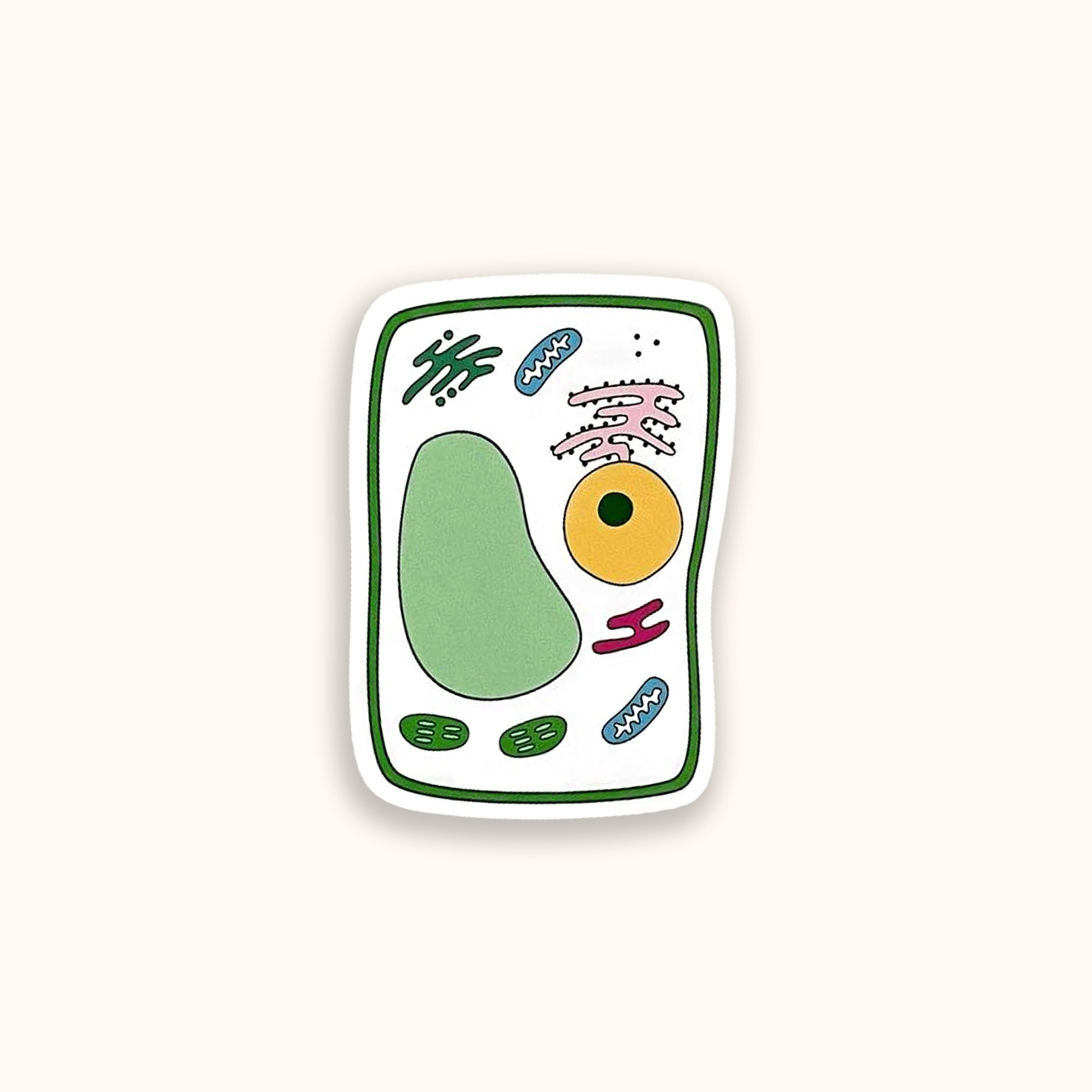 Plant cell colourful vinyl sticker on yellow background