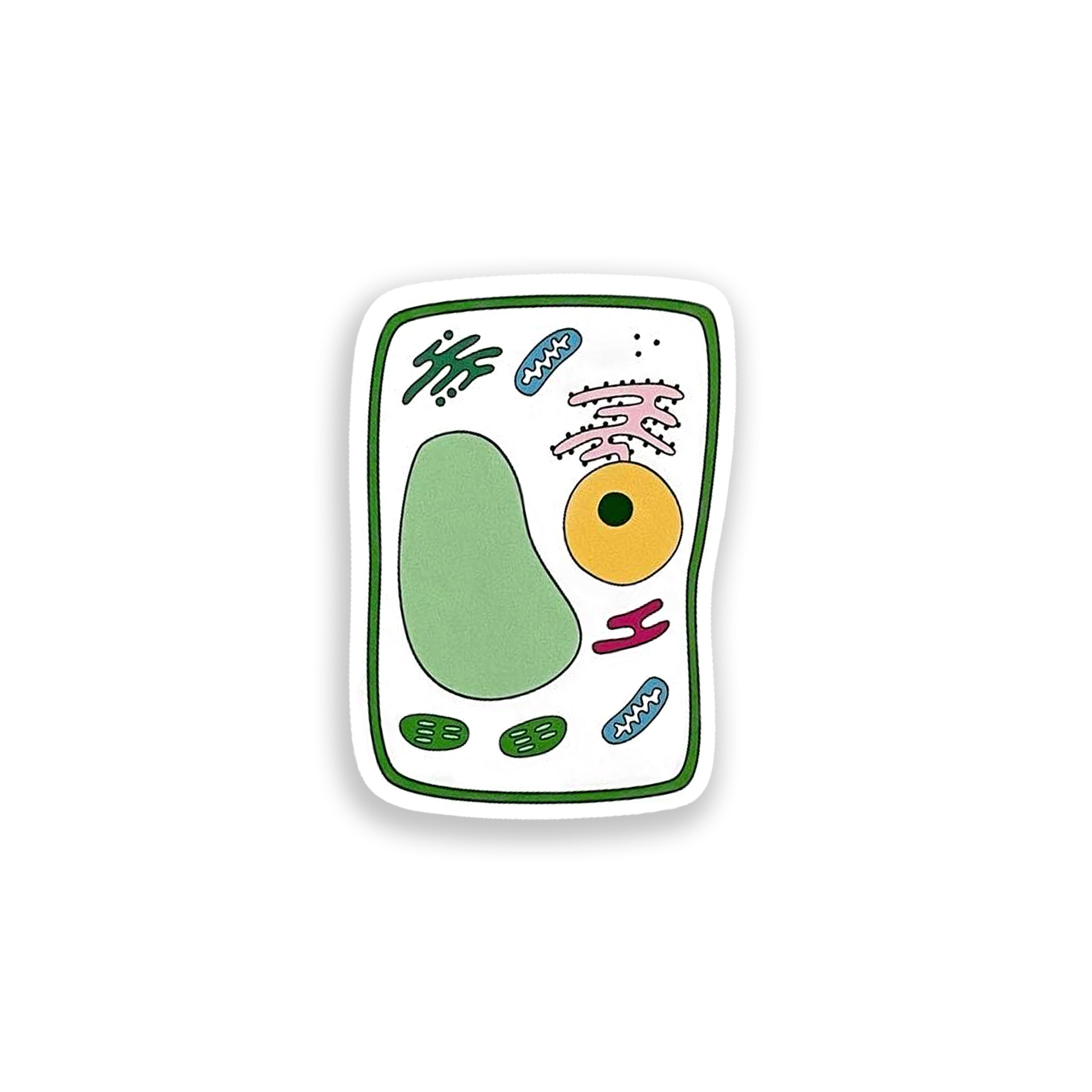 Plant cell colourful vinyl sticker on white background